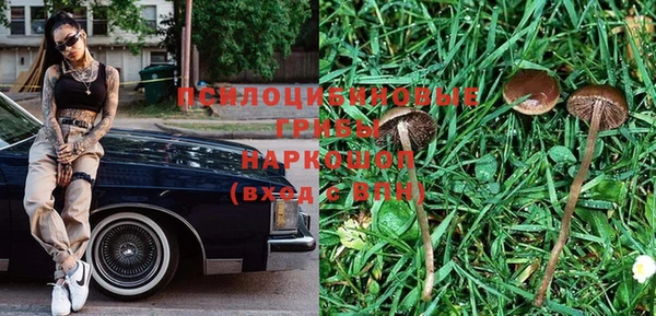 спиды Михайлов