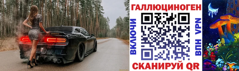 Галлюциногенные грибы Psilocybe  купить  сайты  Новое Девяткино 